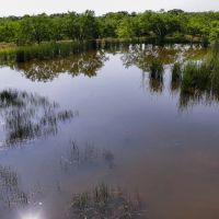 Plum Creek Hideout images 5
