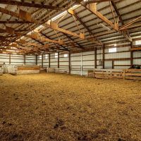 Butterfield Farm amp Livestock images 3