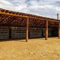 Butterfield Farm amp Livestock images 5