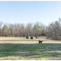 96.7 Acres in Tallahatchie County in Cascilla MS