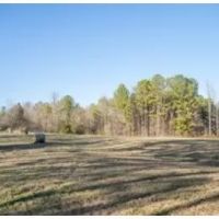 96.7 Acres in Tallahatchie County in Cascilla MS images 3