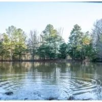 96.7 Acres in Tallahatchie County in Cascilla MS images 5