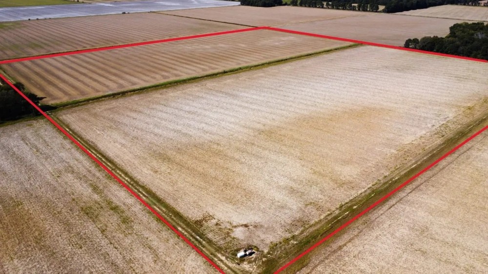 Butler County Row Crop Auction featured image