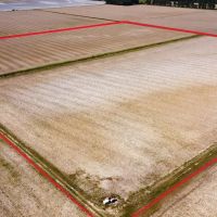 Butler County Row Crop Auction