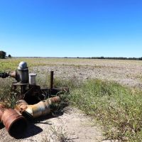 Butler County Row Crop Auction images 5