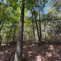 41 - Acres in Franklin Co. AL images 3