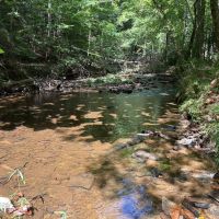 41 - Acres in Franklin Co. AL images 4