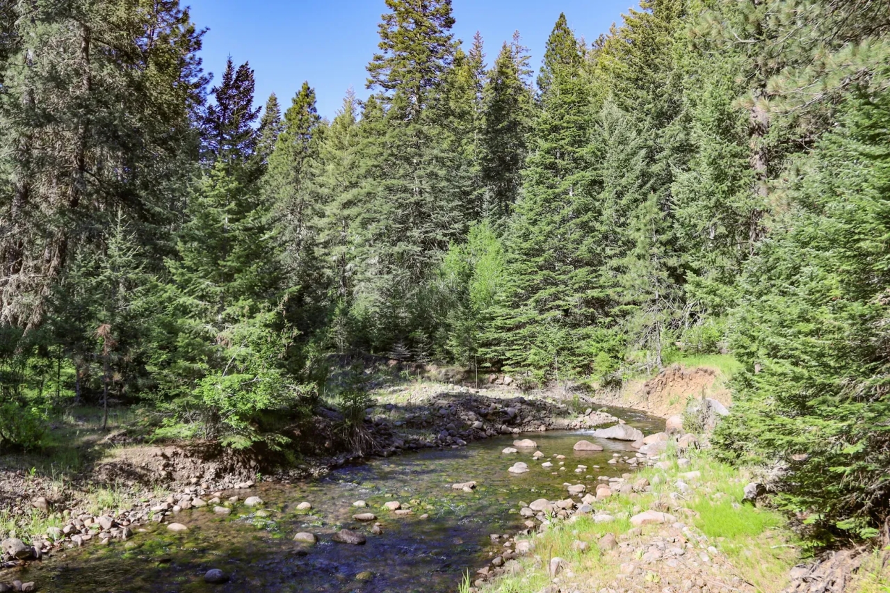 Dayton Ranch Hunting Land for Sale