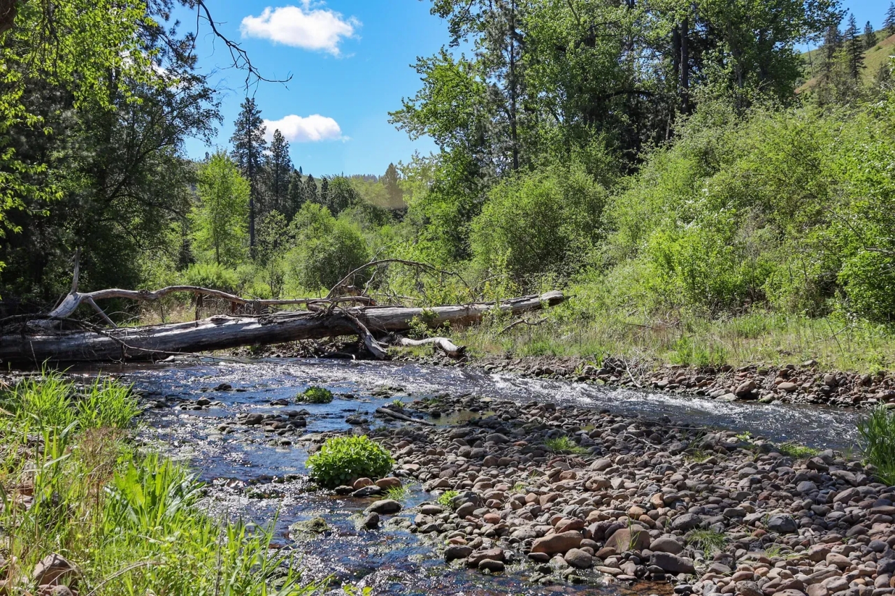 Dayton Ranch Hunting Land for Sale