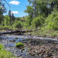 Dayton Ranch images 3