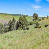 Dayton Ranch images 4
