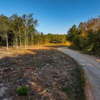 20 - Acres Ready to build on NO RESTRICTIONS Evening Shade Arkansas images 2