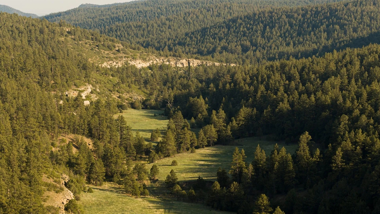 Dawson Elk Valley Ranch Hunting Land for Sale