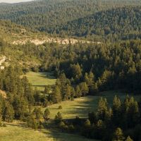 Dawson Elk Valley Ranch images 4