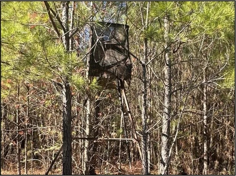 80 Acres in Newton County in Hickory MS featured image