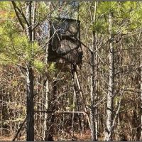 80 Acres in Newton County in Hickory MS