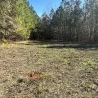 80 Acres in Newton County in Hickory MS images 2