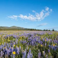 Eve Ranches images 2