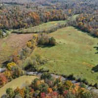 39.768 Acres of Recreational and Rural Residential Land For Sale in Patrick County VA images 3