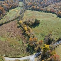 39.768 Acres of Recreational and Rural Residential Land For Sale in Patrick County VA images 4