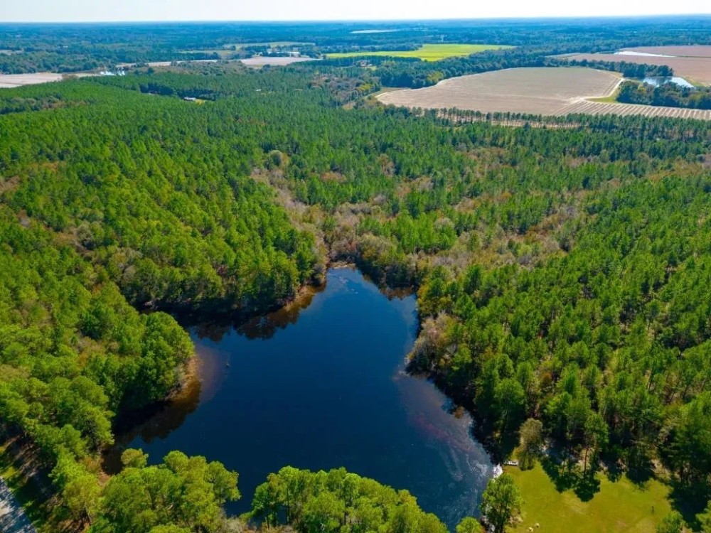 Crisp Pond Property featured image