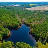 Crisp Pond Property