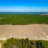 Crisp Pond Property images 2