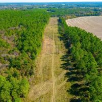 Crisp Pond Property images 5