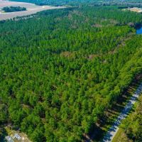 Crisp Pond Property images 4