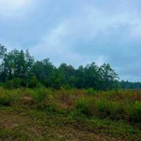 Vancleave MS 27 - Acres for sale images 2