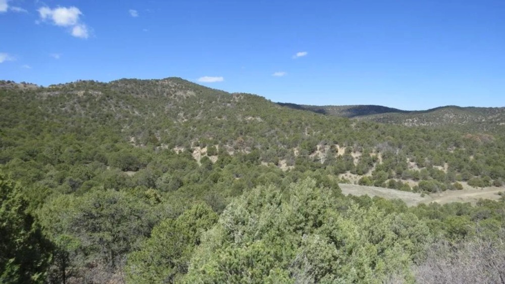 26 Picketwire Ranch featured image
