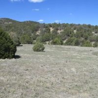 26 Picketwire Ranch images 3