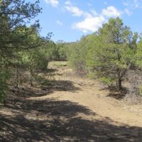 26 Picketwire Ranch images 4