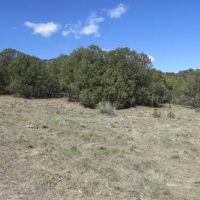 26 Picketwire Ranch images 5