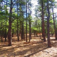 D90 Santa Fe Trail Ranch images 4
