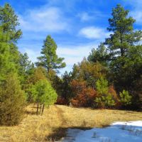 D90 Santa Fe Trail Ranch images 5
