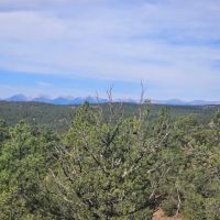 223 224 225 Rancho La Garita