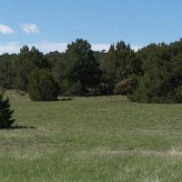 144 Silver Spurs Ranch images 2