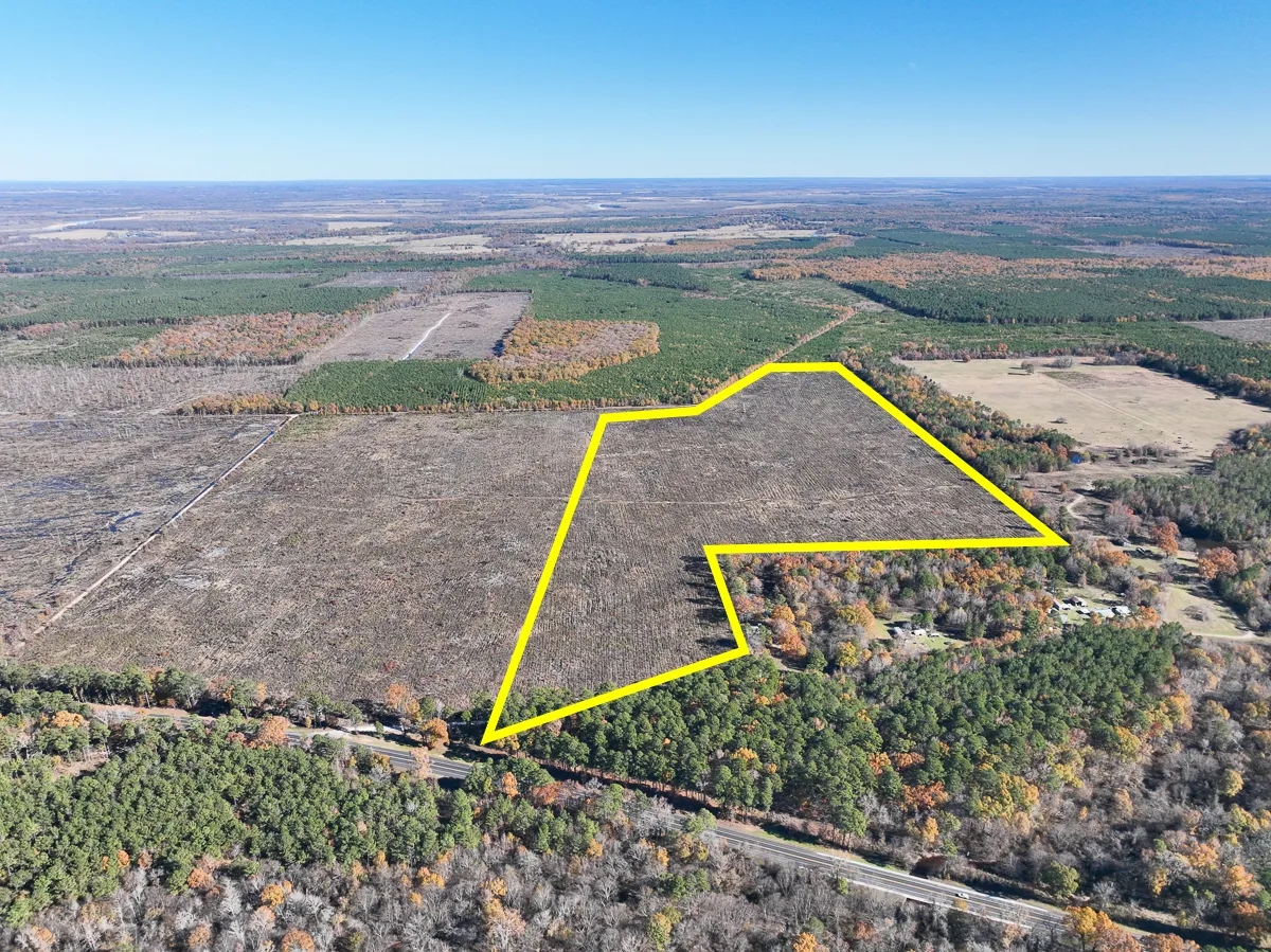 113 Acres Hwy 37 T6 Kiskadee Hunting Land for Sale HuntingLocator