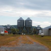 36 Acre Pullet Farm in Hamilton County TN images 4
