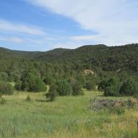 4 Picketwire Ranch