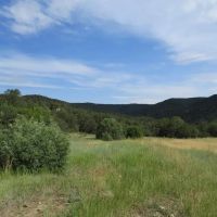 4 Picketwire Ranch images 2
