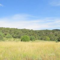 4 Picketwire Ranch images 5