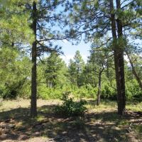 E5 Santa Fe Trail Ranch images 4
