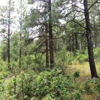 E5 Santa Fe Trail Ranch images 5