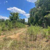 State Line Road Tract images 5