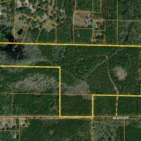 Alachua County 102 Acres images 4