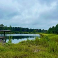 Vancleave MS 52 - Acres for Sale images 2
