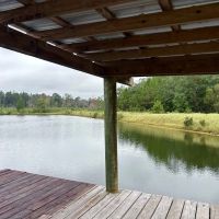 Vancleave MS 52 - Acres for Sale images 4