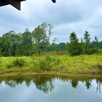 Vancleave MS 52 - Acres for Sale images 5